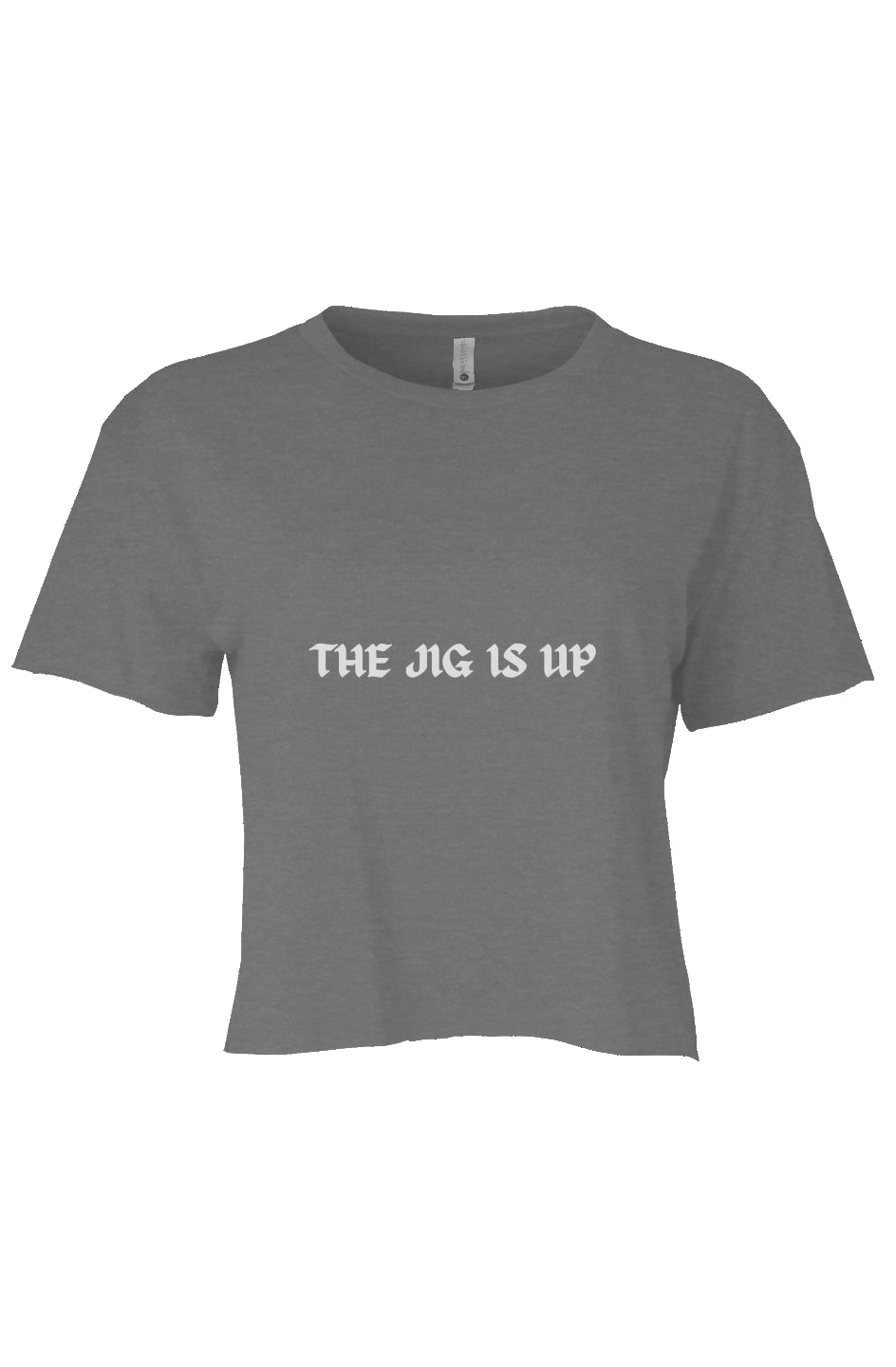 THE JIG IS UP Crop GREY